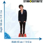 CS573 Harry Styles One Direction English Singer Songwriter Lifesize Cardboard Cutout Standee 3