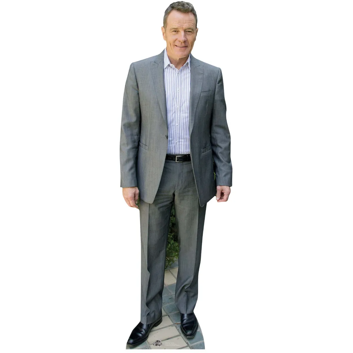 CS593 Bryan Cranston 'Grey Suit' (American Actor) Lifesize Cardboard Cutout Standee Front