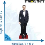 CS675 Ryan Reynolds Canadian American Actor Lifesize Mini Cardboard Cutout Standee 3