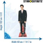 CS734 Harry Styles Red Carpet English Singer Lifesize Mini Cardboard Cutout Standee 3