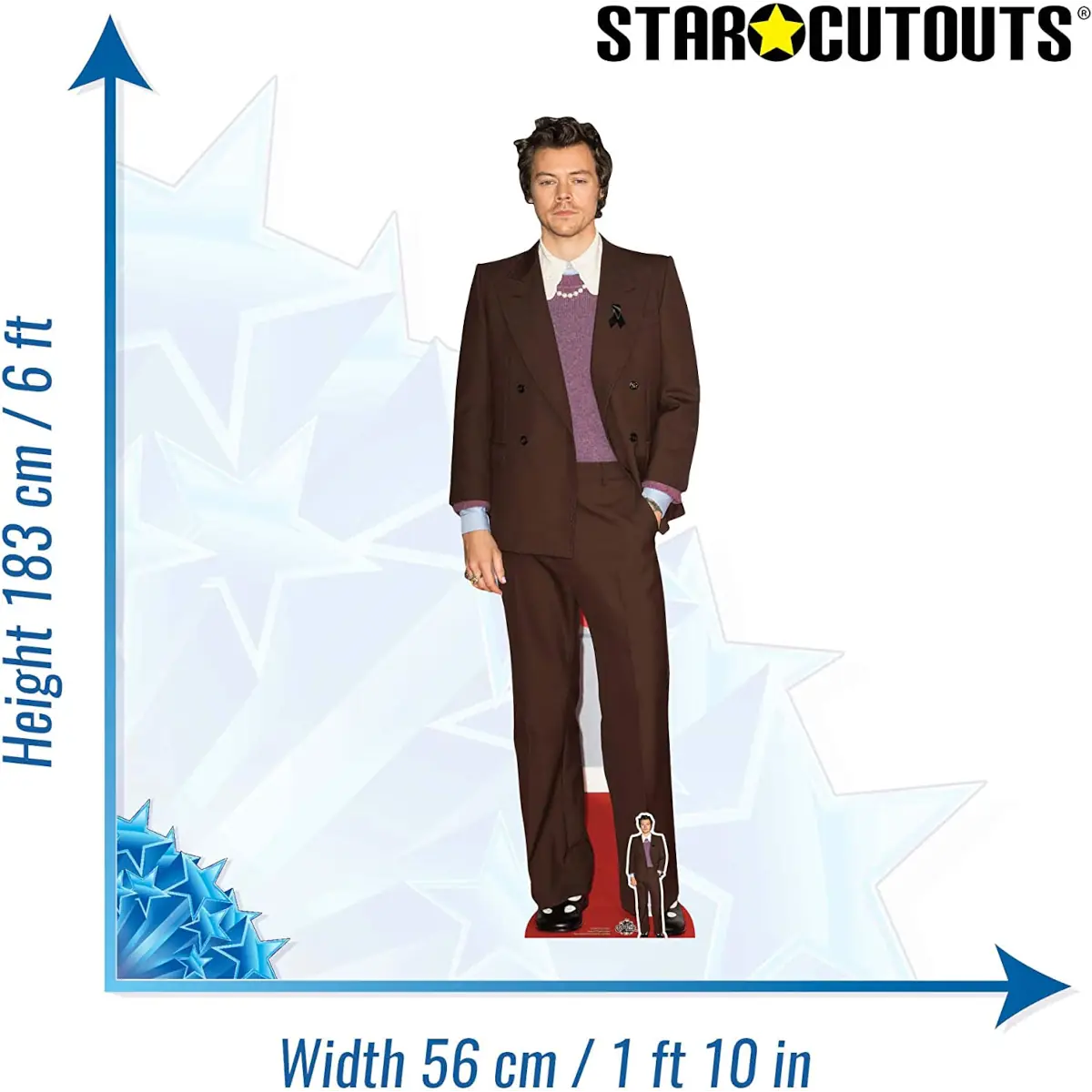 CS836 Harry Styles English Singer Songwriter Lifesize Mini Cardboard Cutout Standee 2