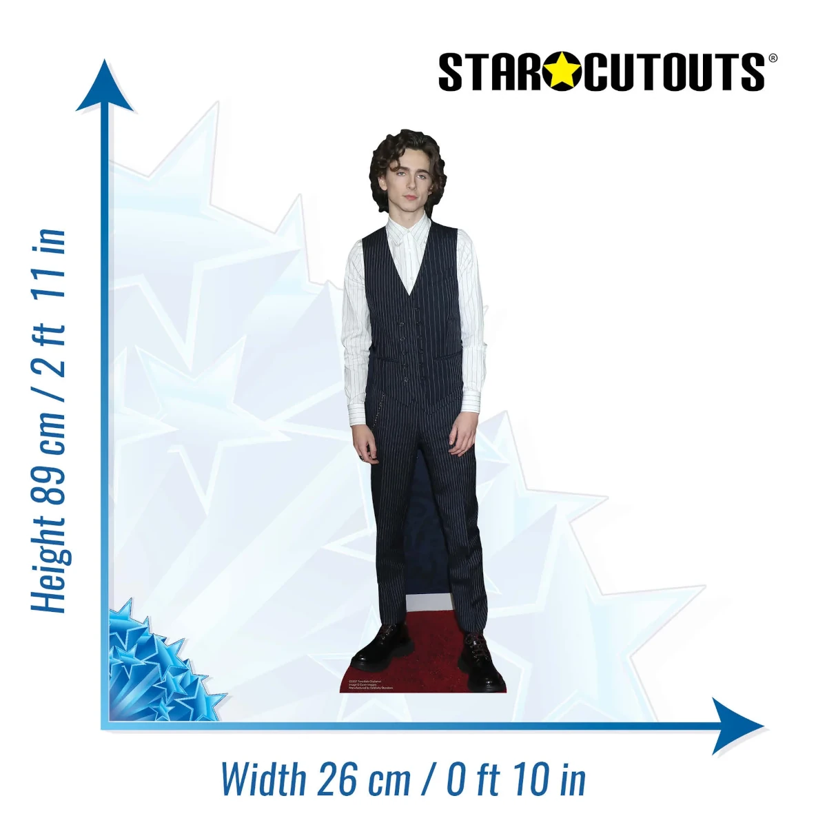 CS837 Timothée Chalamet 'Waistcoat' (American Actor) Mini Cardboard Cutout Standee Size