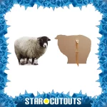 SC064 Farmyard Sheep Medium Cardboard Cutout Standee Frame