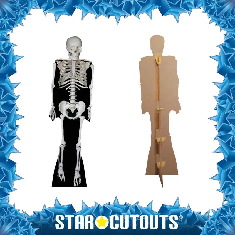 SC160 Skeleton (Halloween) Lifesize Cardboard Cutout Standee Frame