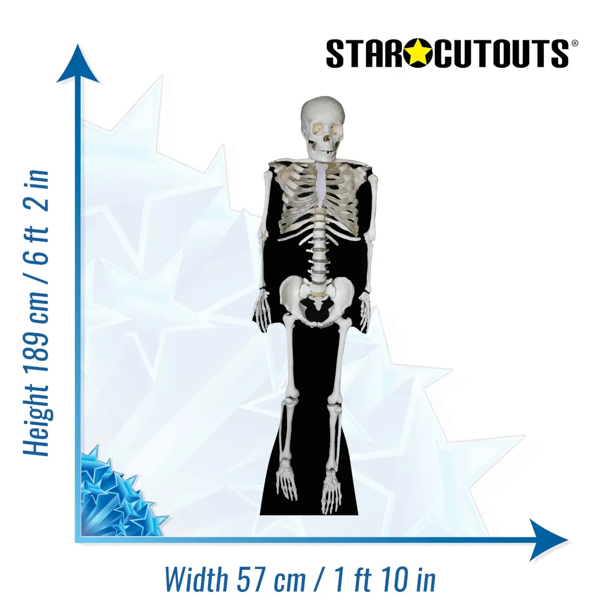 SC160 Skeleton (Halloween) Lifesize Cardboard Cutout Standee Size