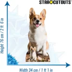 SC4064 Cute Corgi Dog Lifesize Mini Cardboard Cutout Standee 2