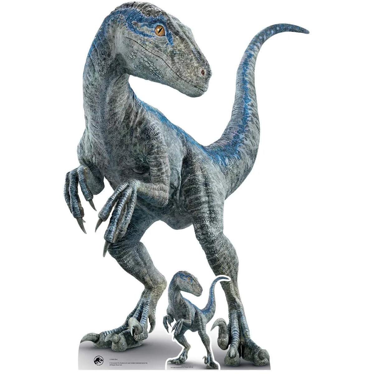 SC4080 Mother Blue Velociraptor (Jurassic World Dominion) Official Large + Mini Cardboard Cutout Standee Front