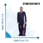 CS1031 Sting (English Musician) Lifesize + Mini Cardboard Cutout Standee Size