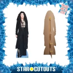 CS1038 Cher 'Black Outfit' (American Singer) Lifesize + Mini Cardboard Cutout Standee Frame
