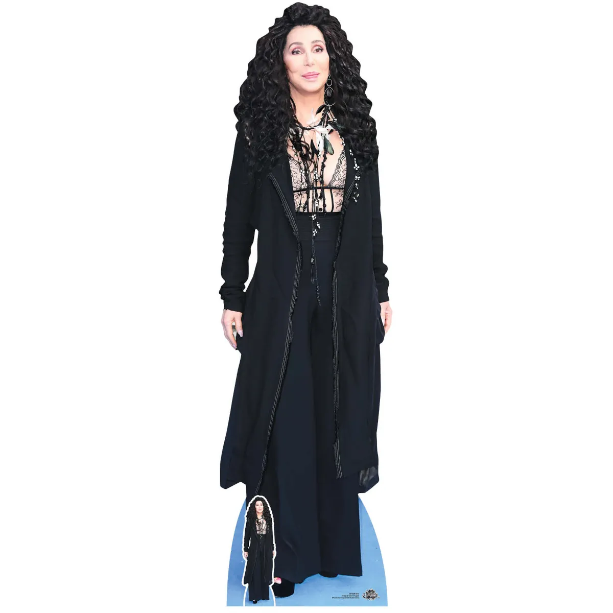 CS1038 Cher 'Black Outfit' (American Singer) Lifesize + Mini Cardboard Cutout Standee Front