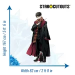 Harry Potter Anime Style Harry Potter Official Lifesize + Mini Cardboard Cutout Size