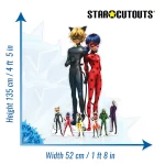 SP016 Official Miraculous Ladybug Cat Noir The Movie Party Pack Cardboard Cutout Mini 3