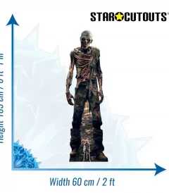 SC4352 Zombie Skeleton (Halloween) Lifesize + Mini Cardboard Cutout Standee Size