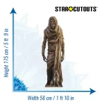 SC4353 Mummy Skeleton (Halloween) Lifesize + Mini Cardboard Cutout Standee Size