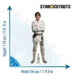 SC4323_Luke_Skywalker_SW_ANH_size