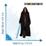 SC4381_Anakin_Skywalker_SW_size