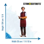 SC4357 Toymaker 'Neil Patrick Harris' (Doctor Who) Official Lifesize + Mini Cardboard Cutout Standee Size