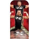 SC4347 D-Generation X (WWE) Official Lifesize Stand-In Cardboard Cutout Standee Front