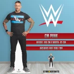 SC4406 CM Punk (WWE) Official Lifesize + Mini Cardboard Cutout Standee Room