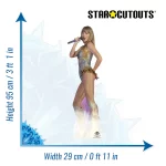 CS1260 Taylor Swift 'On Stage' (American SingerSongwriter) Mini Cardboard Cutout Standee Size