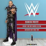SC4427 Damian Priest (WWE) Official Lifesize + Mini Cardboard Cutout Standee Room