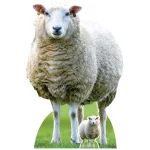 SC4437 Sheep (Farm Animal) Large + Mini Cardboard Cutout Standee Front