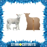 SC4438 Lamb (Farm Animal) Large + Mini Cardboard Cutout Standee Frame
